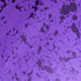 LightPurple Purple